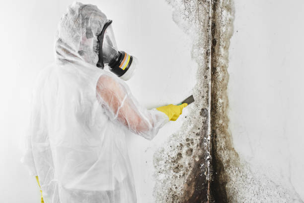 Best Emergency Mold Removal  in Tuttle, OK