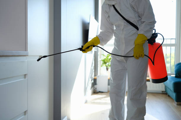 Mold Removal and Inspection in Tuttle, OK