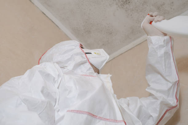 Best Mold Removal and Inspection  in Tuttle, OK