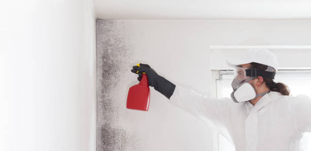 Best Residential Mold Removal  in Tuttle, OK