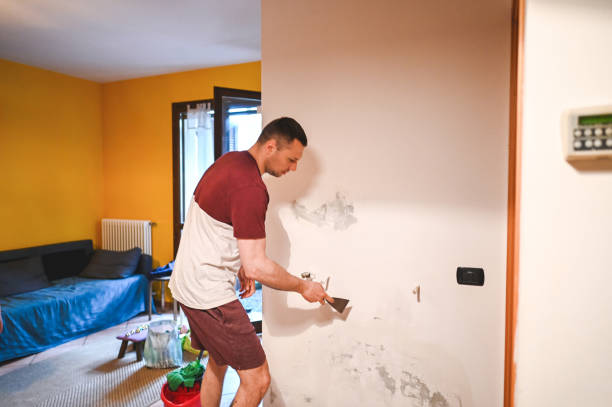 Best Best Mold Removal Companies  in Tuttle, OK