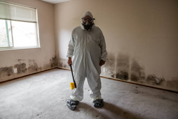 Best Same-Day Mold Removal  in Tuttle, OK